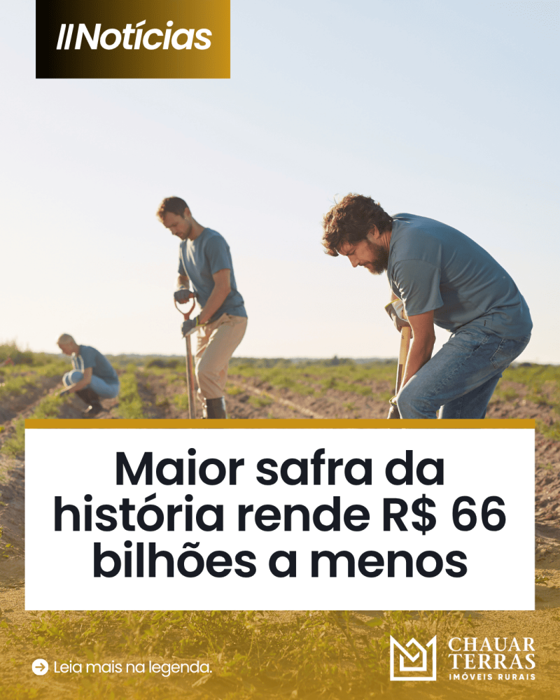 titulo publicacao