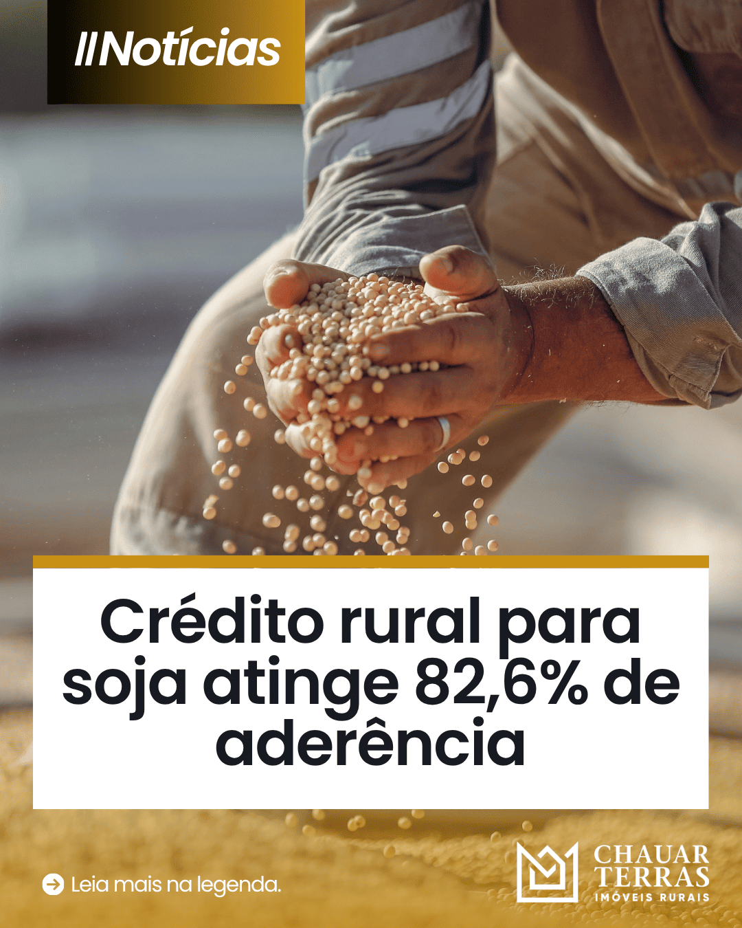 Crédito rural para soja atinge 82,6% de aderência