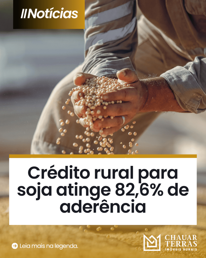 titulo publicacao