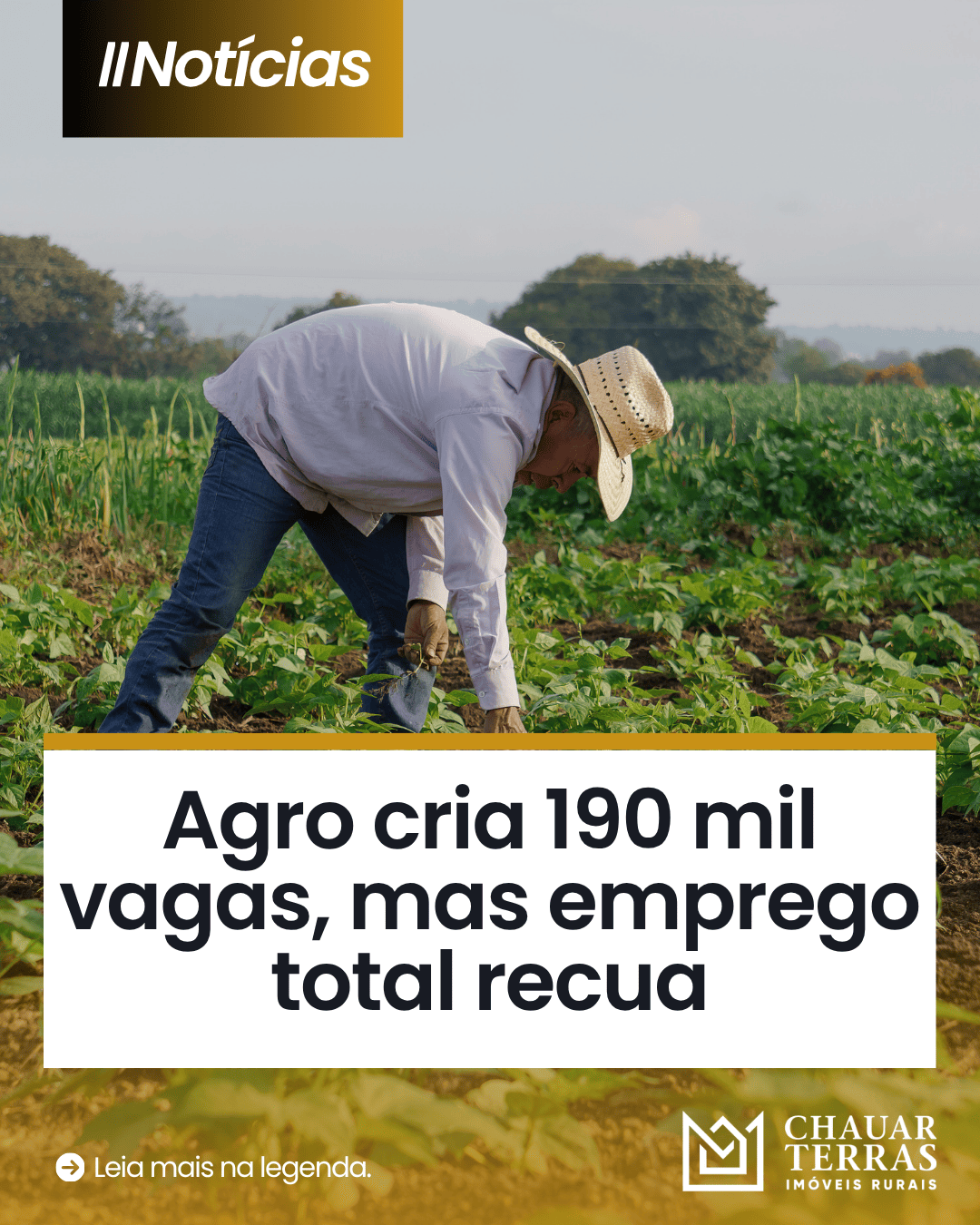 Agro cria 190 mil vagas, mas emprego total recua