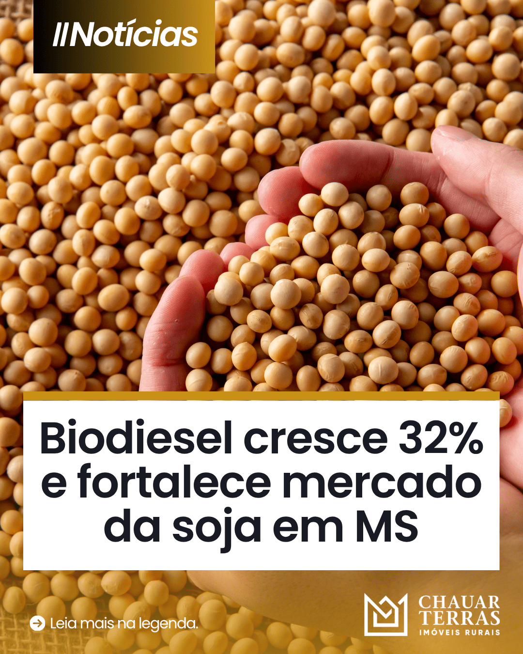 Biodiesel cresce 32% e fortalece mercado da soja em MS