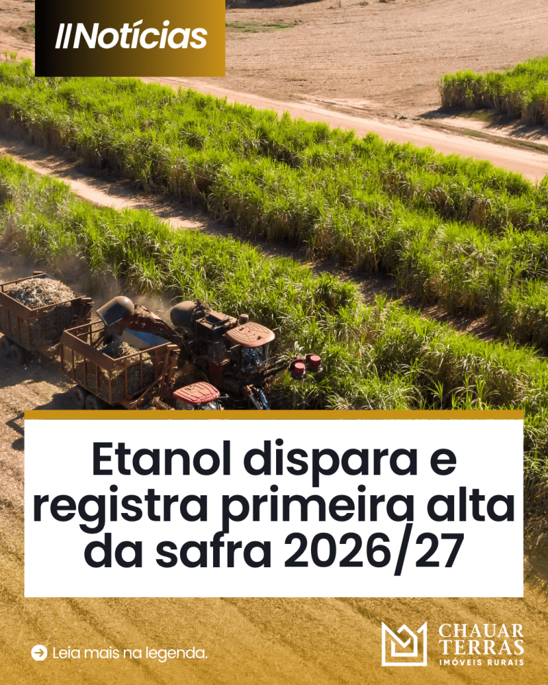 titulo publicacao