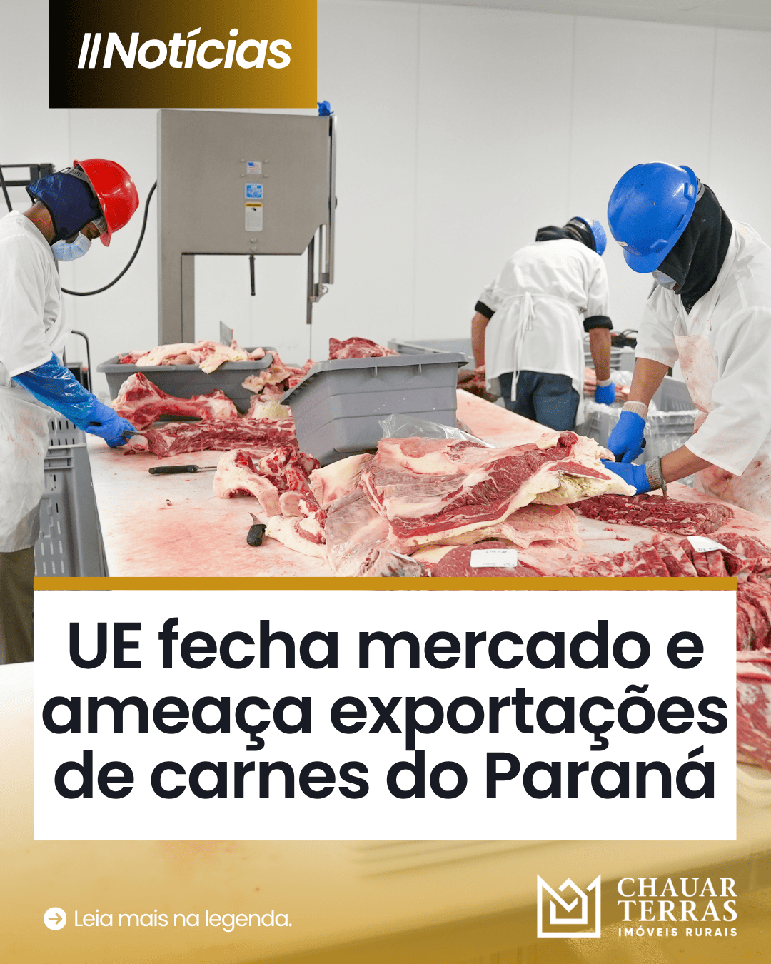 UE embarga carnes e acende alerta no agro paranaense
