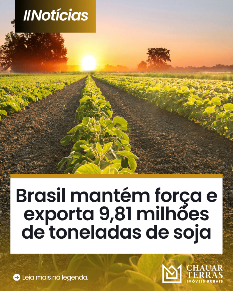 titulo publicacao