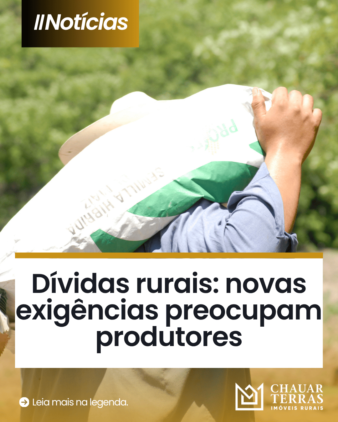 Dívidas rurais: novas exigências preocupam produtores