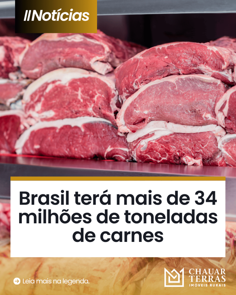 titulo publicacao