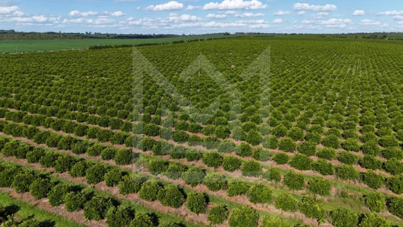 cod 3503